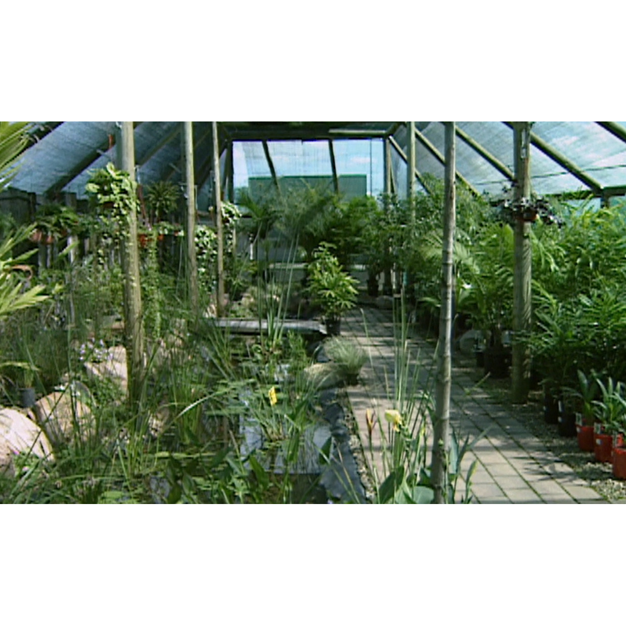 Stock footage: Motor Marine, Beezneez