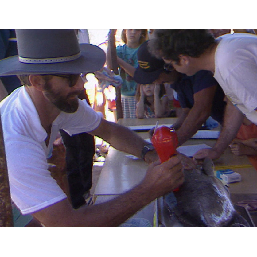 Fish weigh-in; hotel emergency drill