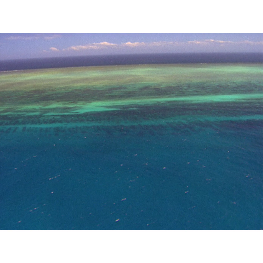 QTV productions tape eight