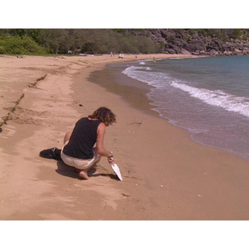 News file: Magnetic Island