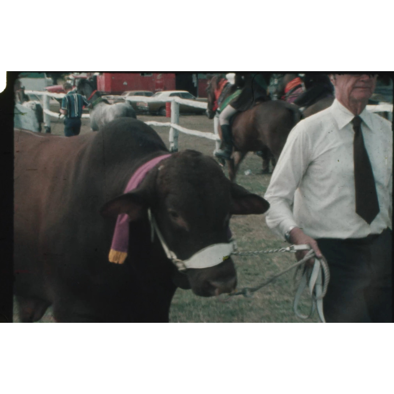 Bowen Annual Show 1978