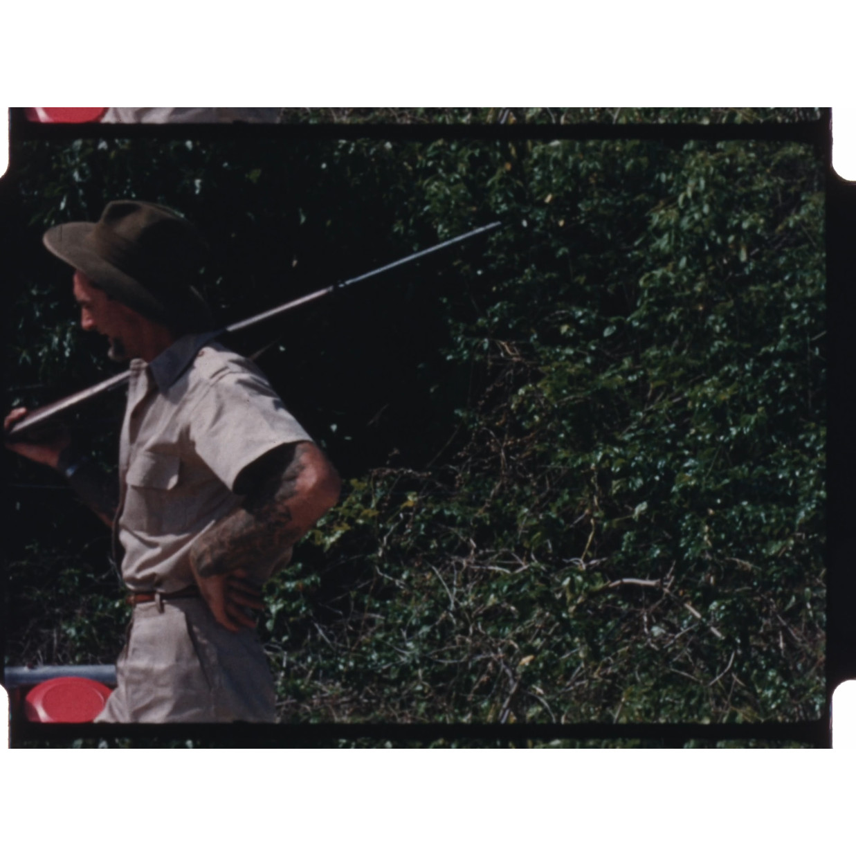 TV & Nature Films: b-roll