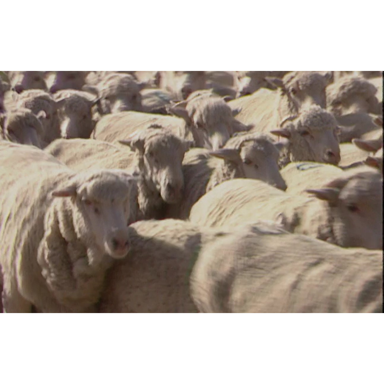 QSTV news file: Walgett