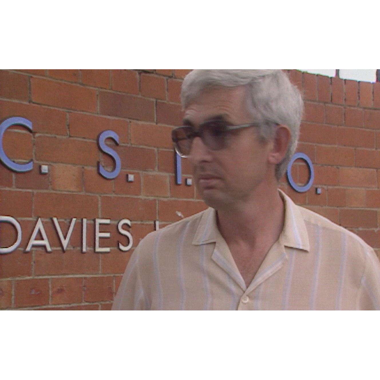 Buffalo: cattle alternative