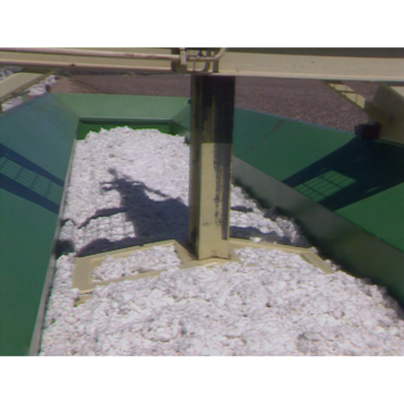 QSTV News file: cotton