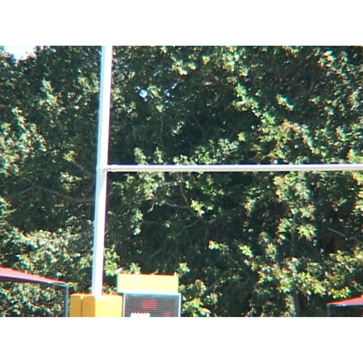 North Queensland Cowboys junior camp