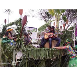 Performers in the Tropigo Carnival parade at Cultural Fest, The Strand, Townsville, 18 August 2007