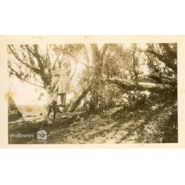 Group posing in trees, Paluma, Townsville, 1937
