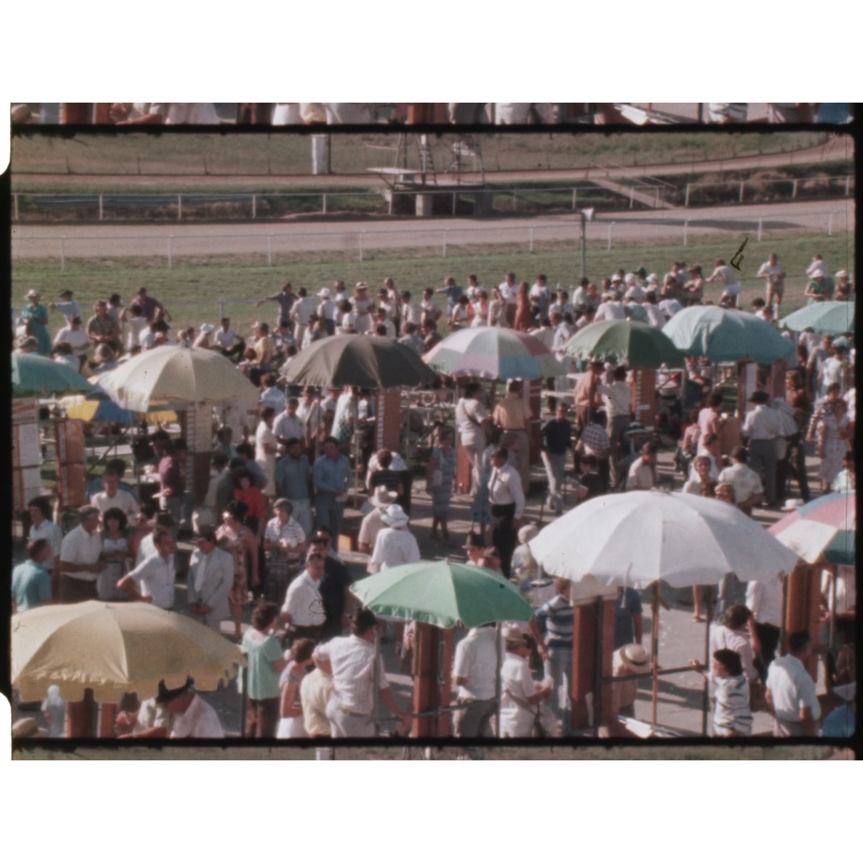 Mareeba Races 1977