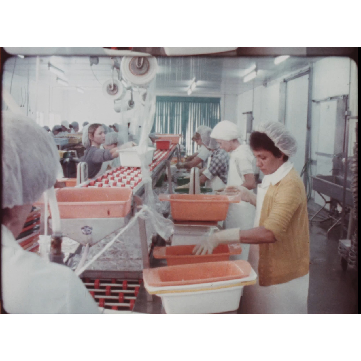 Prawn processing factory