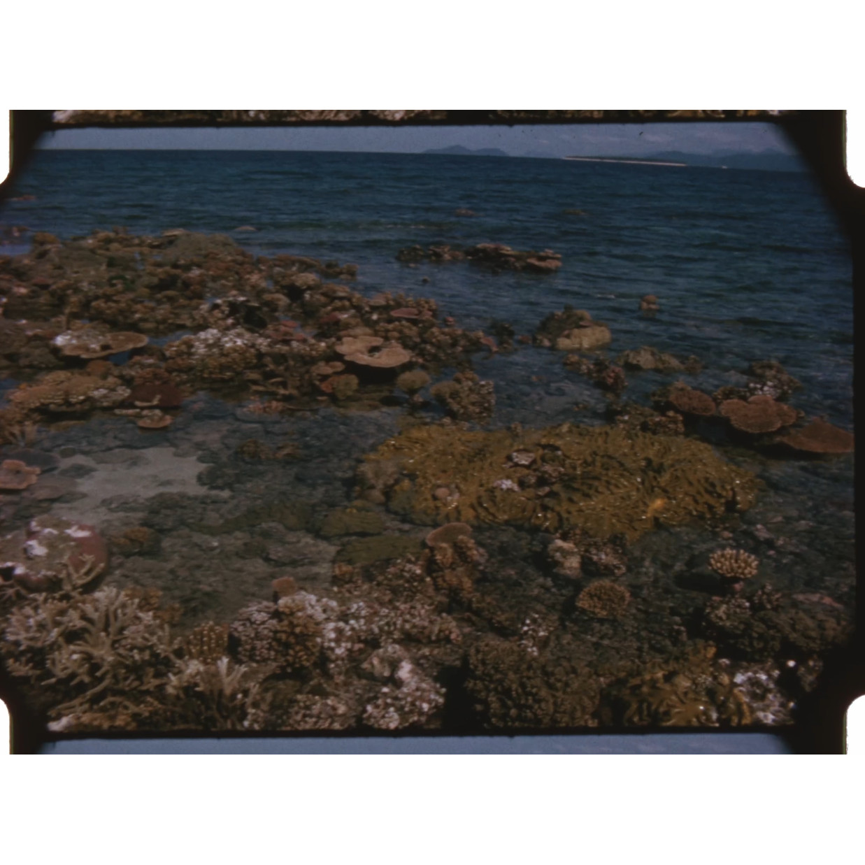Green Island Underwater Observatory