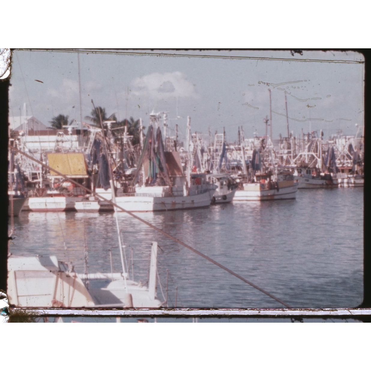 Fishing boats