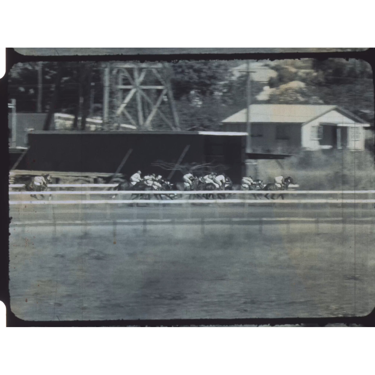 Horse race
