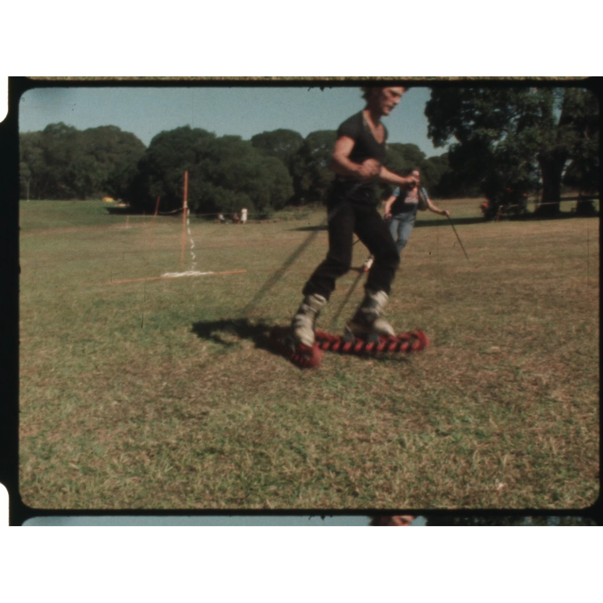 Grass skiing