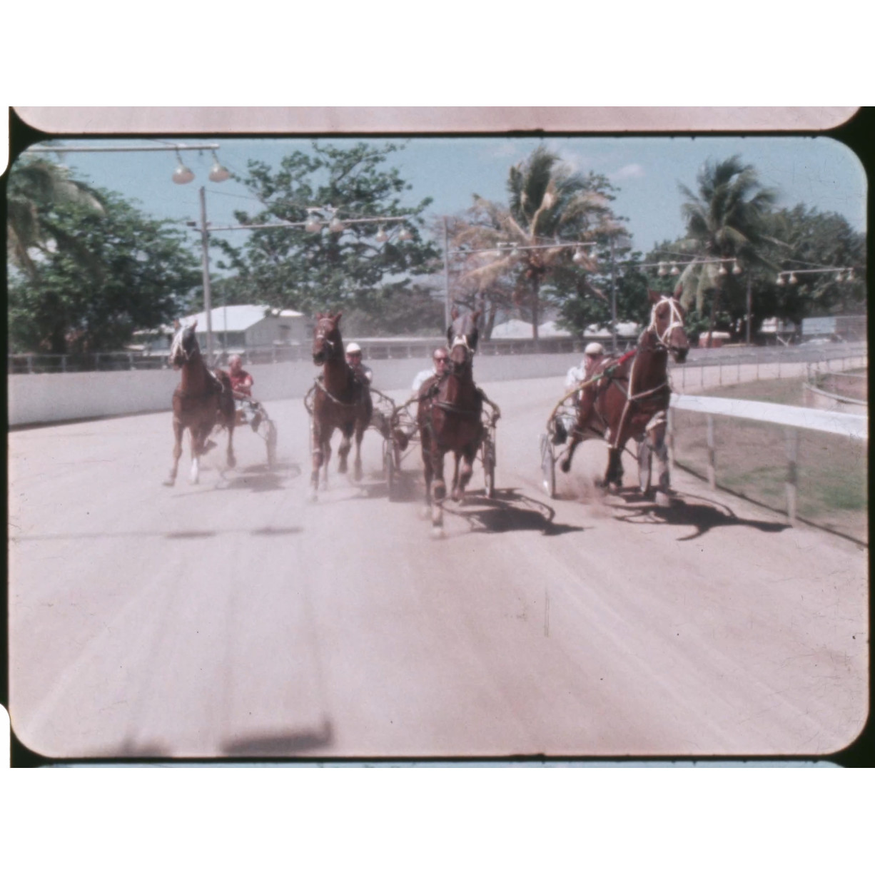 Harness racing