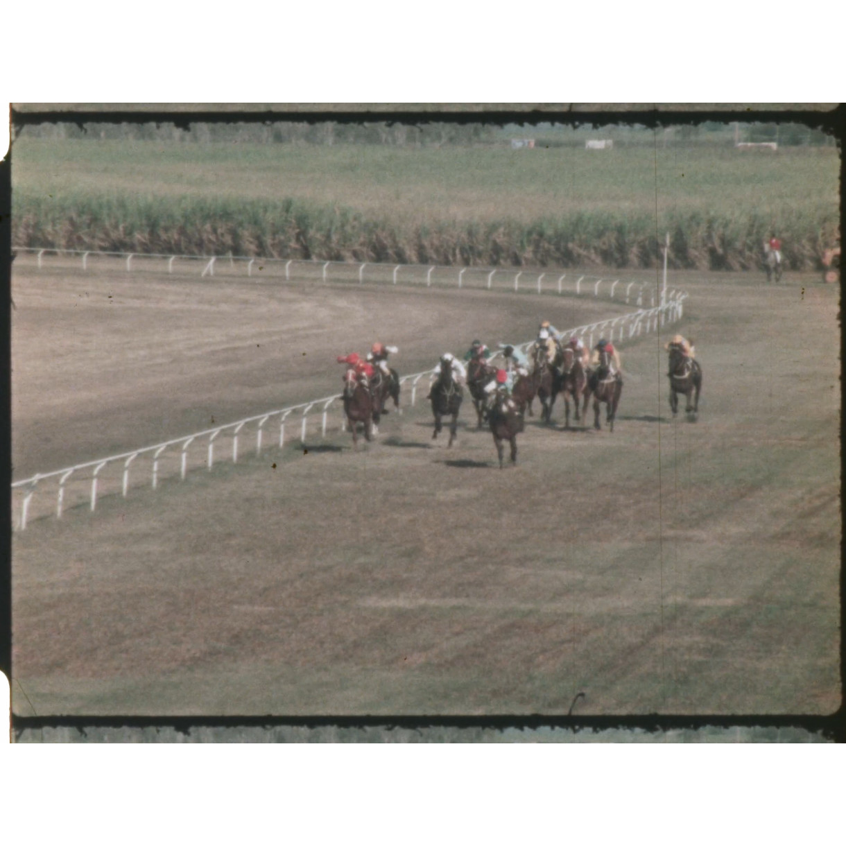 Home Hill horse race