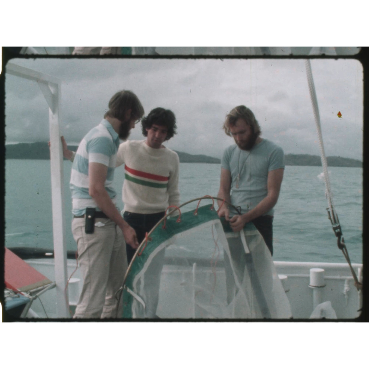 Box jellyfish research