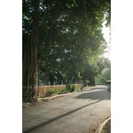 Pacific Drive, Horseshoe Bay, Townsville, 4 April 2024