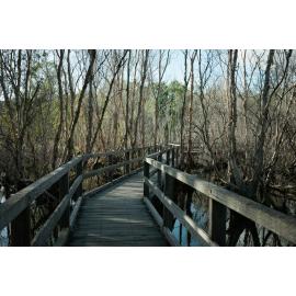Horseshoe Bay Lagoon Conservation Park, Horseshoe Bay, Townsville, 4 April 2024