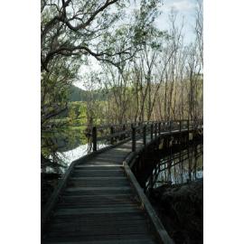 Horseshoe Bay Lagoon Conservation Park, Horseshoe Bay, Townsville, 4 April 2024