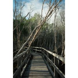 Horseshoe Bay Lagoon Conservation Park, Horseshoe Bay, Townsville, 4 April 2024