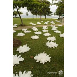 "Authentic Fake" public art installation by Julie Wilson Foster, Strand Ephemera, Townsville, 2003