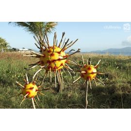 "Urchins" public art installation by Janelle Edwards, Strand Ephemera, Townsville, 2005
