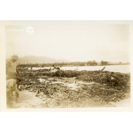 Flooding at Rooney's Bridge, Railway Estate, Townsville, 10 February 1946