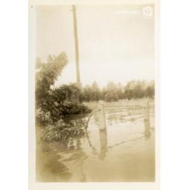 Flooding, Railway Estate, Townsville, 10 February 1946