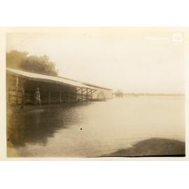 Working stables at Cluden Racecourse during flood, Townsville, [10 February 1946]