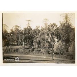 The Brisbane Gardens, Brisbane, 1946