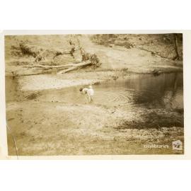Mrs Dawson and son in the water at the C.O.D. picnic, Alice River, Townsville, 1946