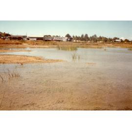 North east corner of proposed lake development area, Townsville, 1984