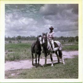 Worker on horseback, Dotswood Station, ca. 1965