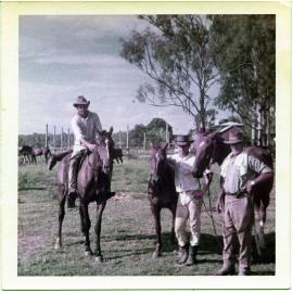 Workers with horses, Dotswood Station, ca. 1965