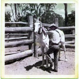 Worker and horse, Dotswood Station, ca. 1965