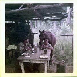 Workers, Dotswood Station, ca. 1965
