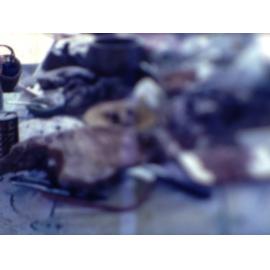 Footage of Leong family and friends at a picnic by the beach, [Townsville], ca. 1974
