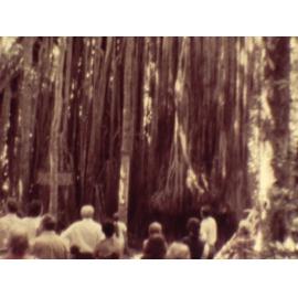 Footage of Leong family holiday to the Atherton Tablelands, ca. 1974