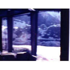 Footage of Leong family holiday to New Zealand, 1973