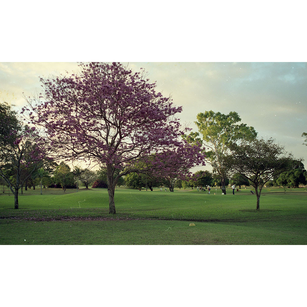 Townsville Golf Course