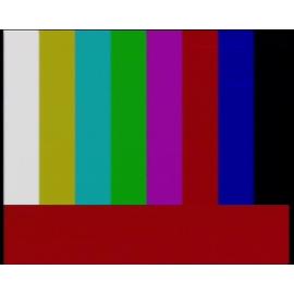 Ten News graphics compile