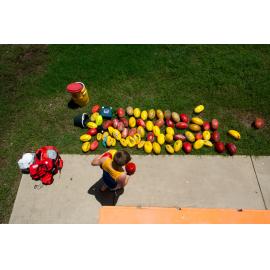 Hermit Park AFL Club cleaned footballs, Hermit Park, 2019
