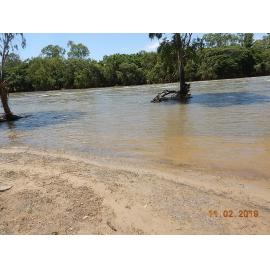River silt and debris washed up in Black Weir Park, 2019. 