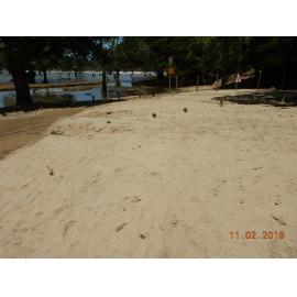 River silt and debris washed up in Black Weir Park, 2019. 
