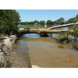 Submerged and debris covered Riverway boardwalk, 2019. 