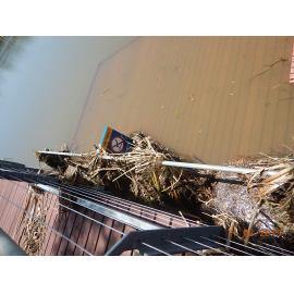 Submerged and debris covered Riverway boardwalk, 2019. 