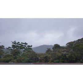 Rain falling over Paluma dam during the floods, 2019. 