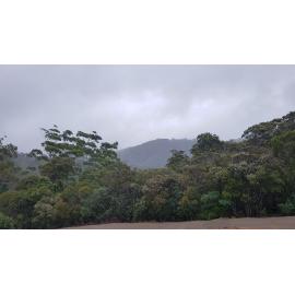 Rain falling over Paluma dam during the floods, 2019. 