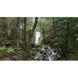 Waterfall at the Paluma Range, 2019. 